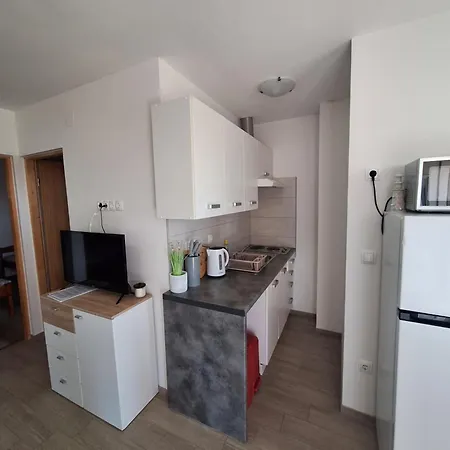 Martinovic Apartamento *